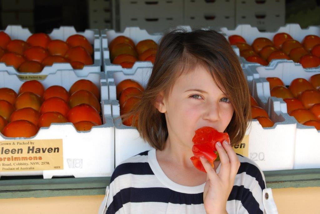 Eating Persimmons