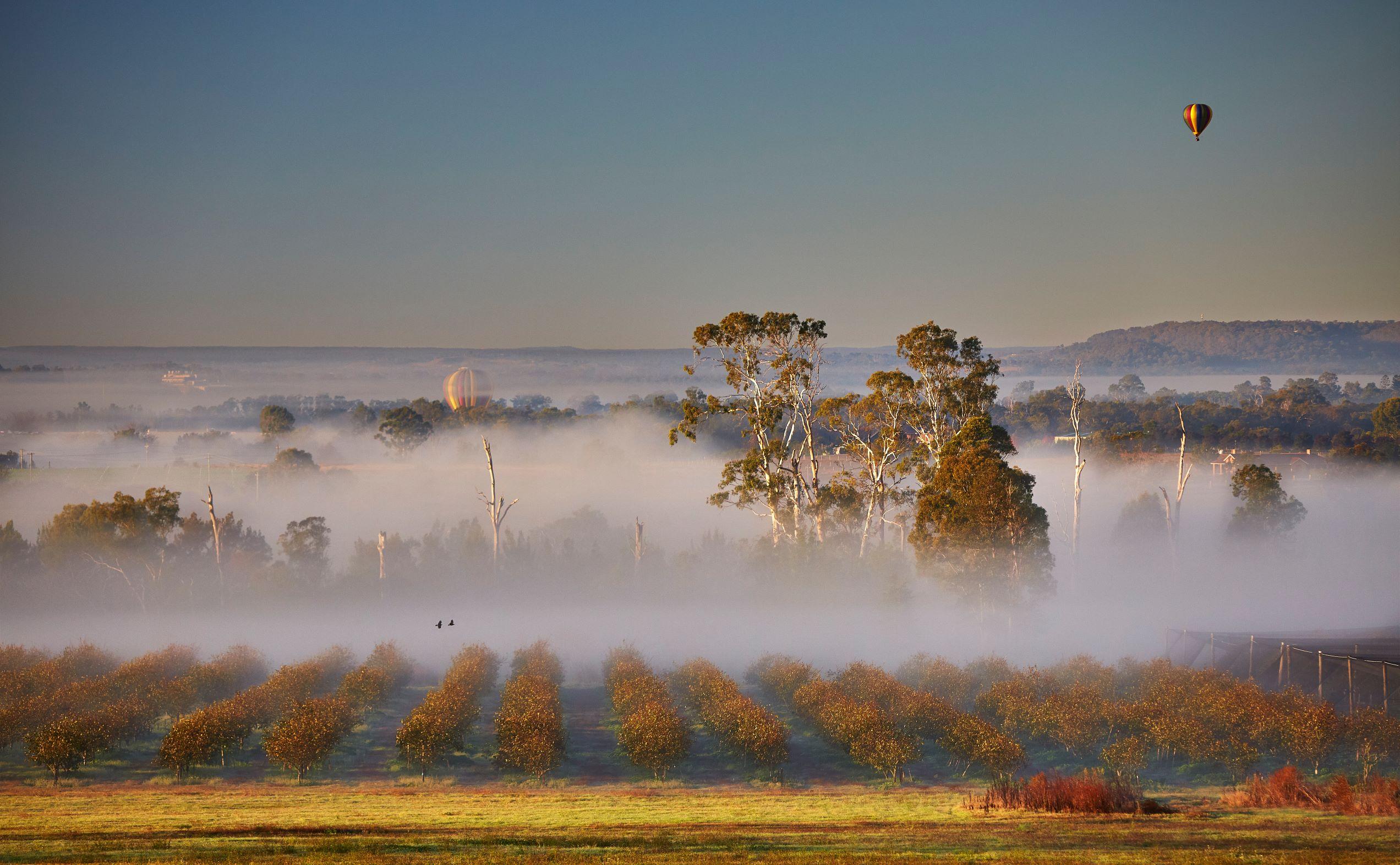 Kathleen Haven Orchard Morning