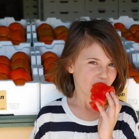 Eating Persimmons